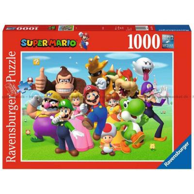 Super Mario och vänner, 1000 bitar