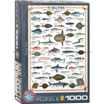 Fisk i havet, 1000 bitar
