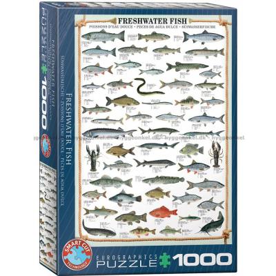 Sötvattensfisk, 1000 bitar