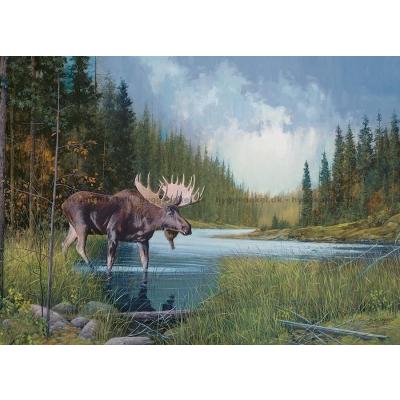 Bild av Laird: Älg vid vatten, 1000 bitar