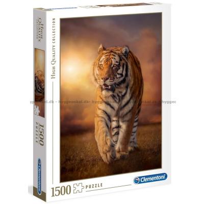 Tigerns vandring, 1500 bitar