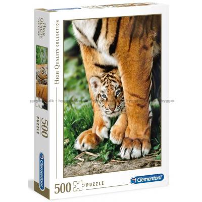 Bengalisk tigerunge, 500 bitar