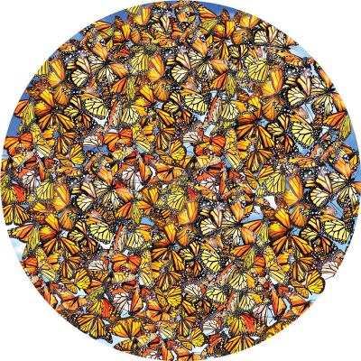 Schory: Fjärilar överallt - Runt pussel, 1000 bitar