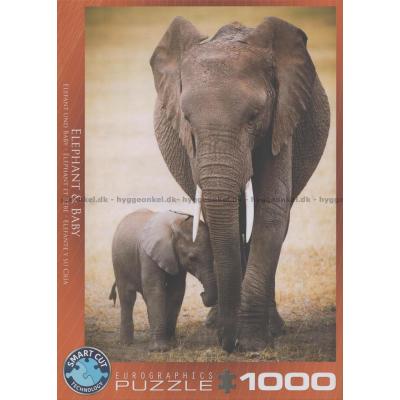 Elefant: Mor och unge, 1000 bitar