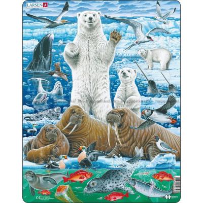 Polarvärlden: Björnar och valross - Rampussel, 46 bitar