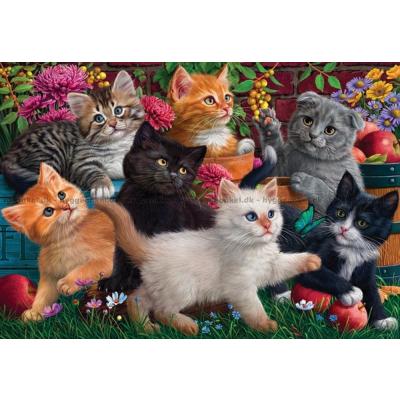 Bild av Kattungar leker, 260 bitar