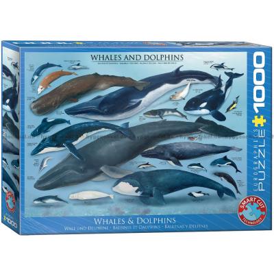 Valar och delfiner, 1000 bitar