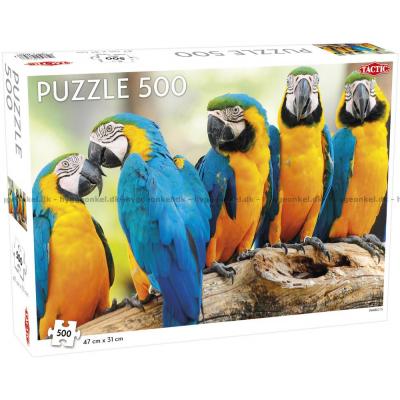 Papegojor, 500 bitar