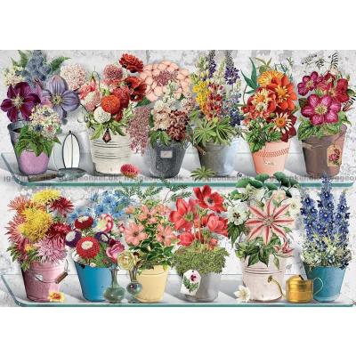 Bild av Behr: Färgglada blommor i krukor, 1000 bitar