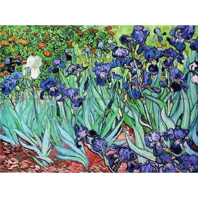 Van Gogh: Iris, 1000 bitar