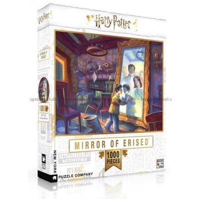 Harry Potter: Mirror of Erised, 1000 bitar