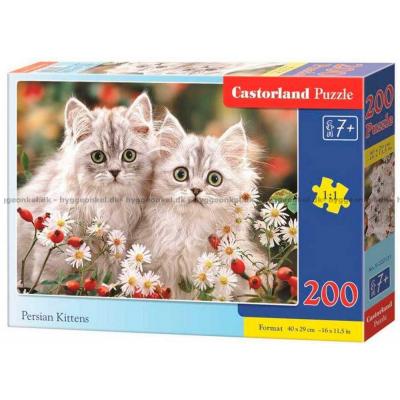 Persiska kattungar, 200 bitar