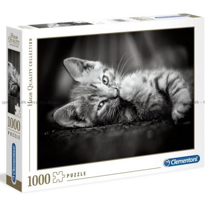 Kattungar - i svartvitt, 1000 bitar