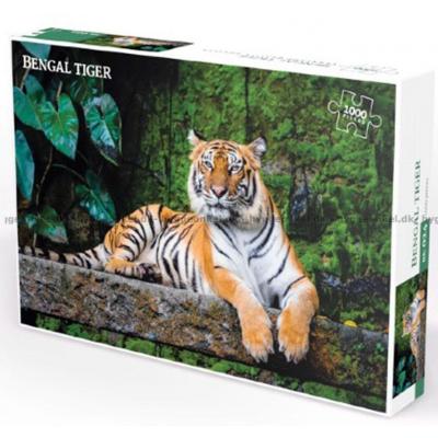 Bengalisk tiger, 1000 bitar