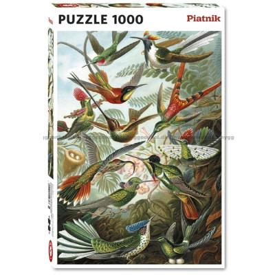 Haeckel: Kolibrier, 1000 bitar