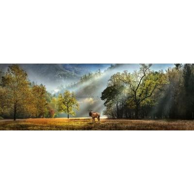 Bild av Humboldt: God morgon - Panorama, 1000 bitar