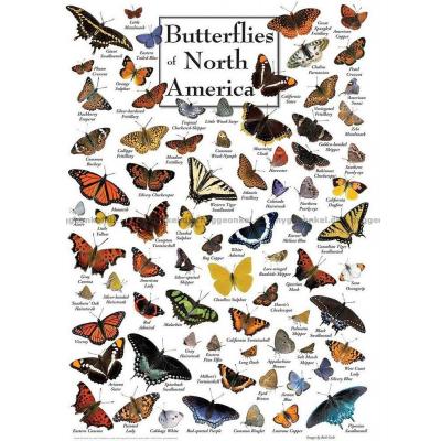 Nordamerika: Fjärilar, 1000 bitar