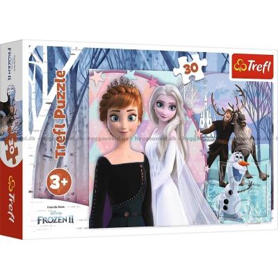 Disney: Frost 2 - Den magiska skogen, 30 bitar