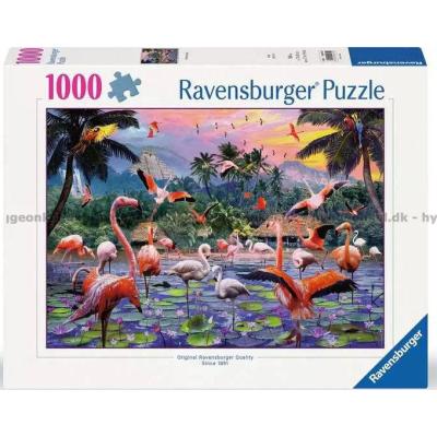 Flamingos, 1000 bitar