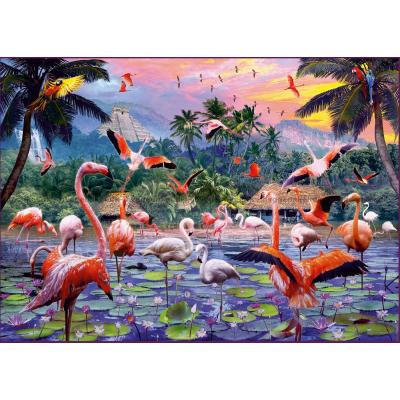 Bild av Flamingos, 1000 bitar