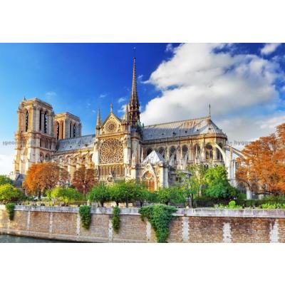 Notre Dame, Paris, 2000 bitar