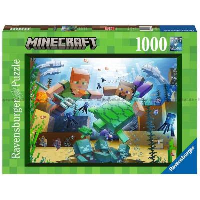 Minecraft, 1000 bitar