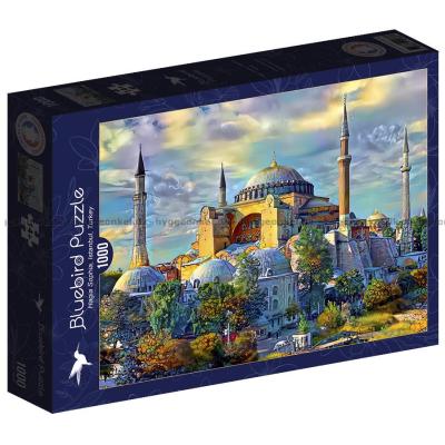 Gavidia: Hagia Sophia, Istanbul, 1000 bitar