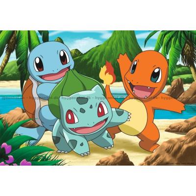 Bild av Pokemon, 2x24 bitar