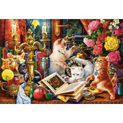 Bild av Trollkarlens kattungar, 1000 bitar
