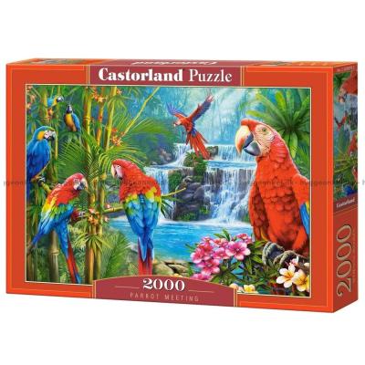 Färgglada papegojor, 2000 bitar