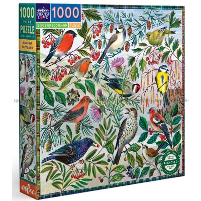 Barrington: Fåglar, 1000 bitar