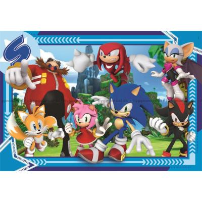 Bild av Sonic, 300 bitar