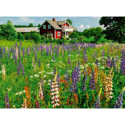 Bild av Torp i Sverige, 500 bitar