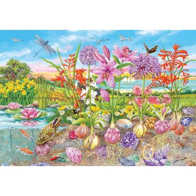 Bild av Daughters: Blomlökar och rotfrukter, 4x500 bitar