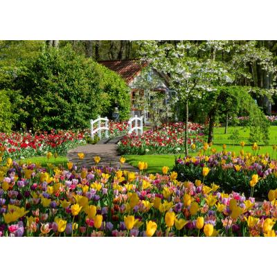 Bild av Holland: Keukenhof blomsterpark, 1000 bitar