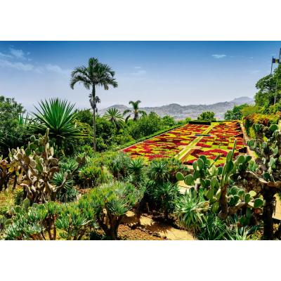 Bild av Portugal: Madeiras botaniska trädgård, 1000 bitar