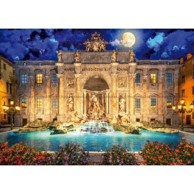Bild av Davison: Trevi-fontänen i Rom, 1000 bitar