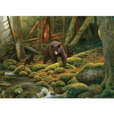 Bild av Björnarna i skogen, 1000 bitar