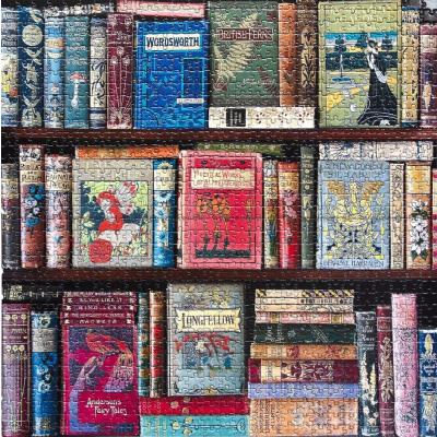 Bild av Biblioteket - Vintage, 1000 bitar