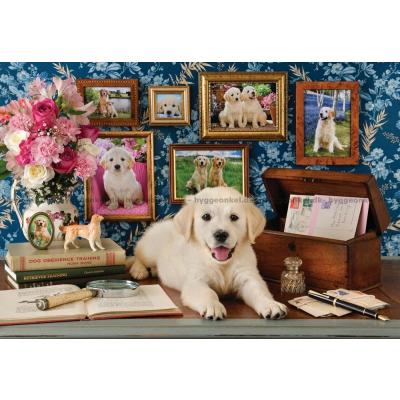 Bild av Cuddiford: Labrador, 500 bitar