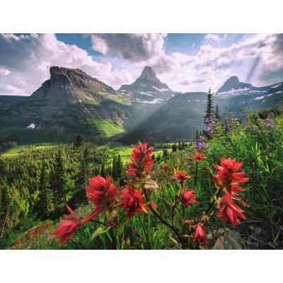 Bild av Hefele: USA - Glacier National Park, Montana, 2000 bitar