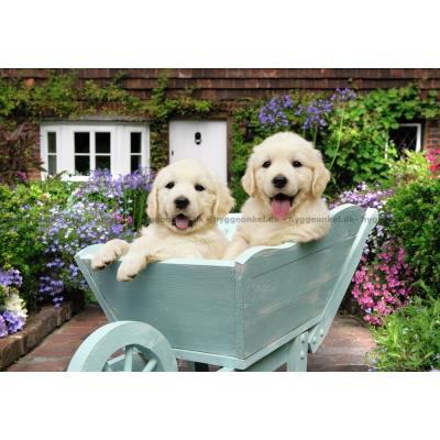Bild av Cuddiford: Golden Retriever, 200 bitar