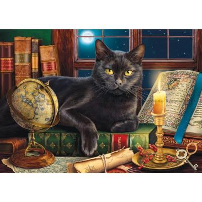 Bild av Den svarta katten bland böcker, 500 bitar