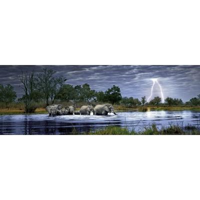 Bild av Humboldt: Hord av elefanter - Panorama, 2000 bitar