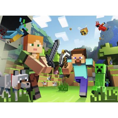 Bild av Minecraft: Äventyret väntar, 100 bitar