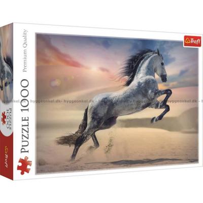 Öknen väcker hästens styrka, 1000 bitar