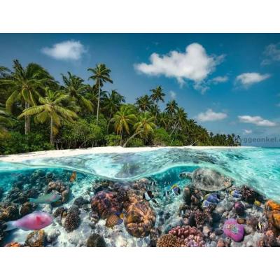 Bild av Hefele: Maldivarna, 2000 bitar