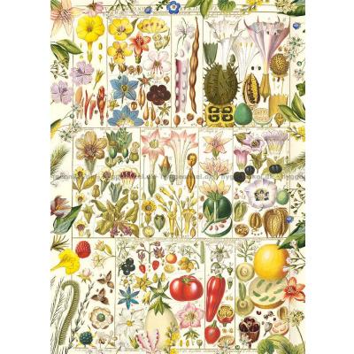 Bild av Botanisk lycka, 1000 bitar