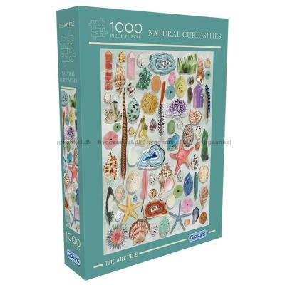 Naturen kallar: Strandens skatter, 1000 bitar