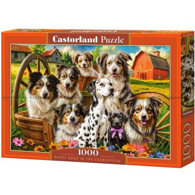 Hundbus på ängen, 1000 bitar